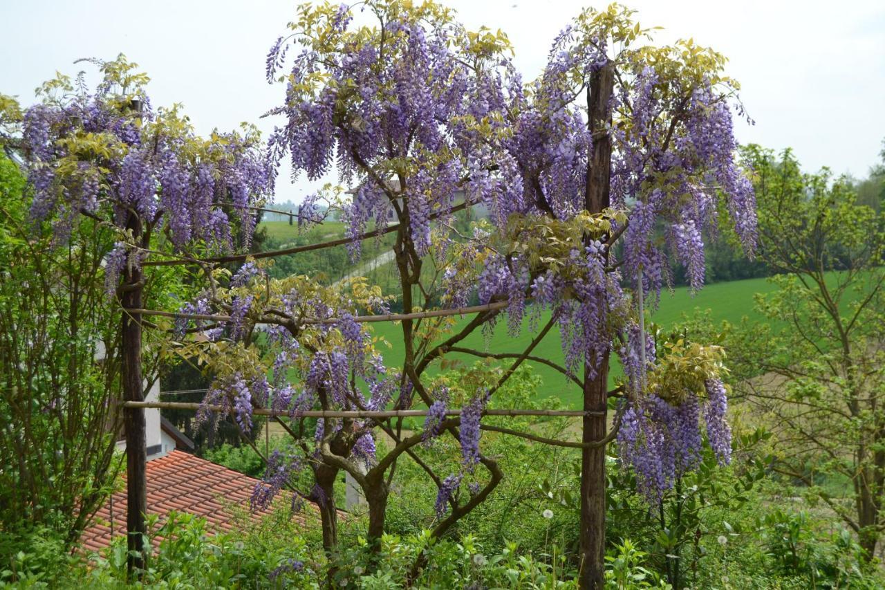 Villa Casa Dei Ciliegi CastellʼAlfero Exterior foto